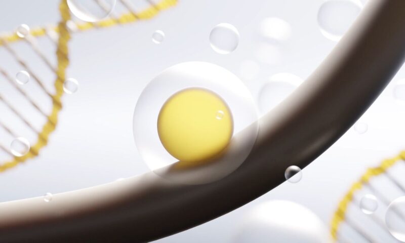 prikaz dlake kose i korišćenja proizvoda ilustrovano